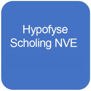 Hypofyse scholing NVE | 9 oktober 2026